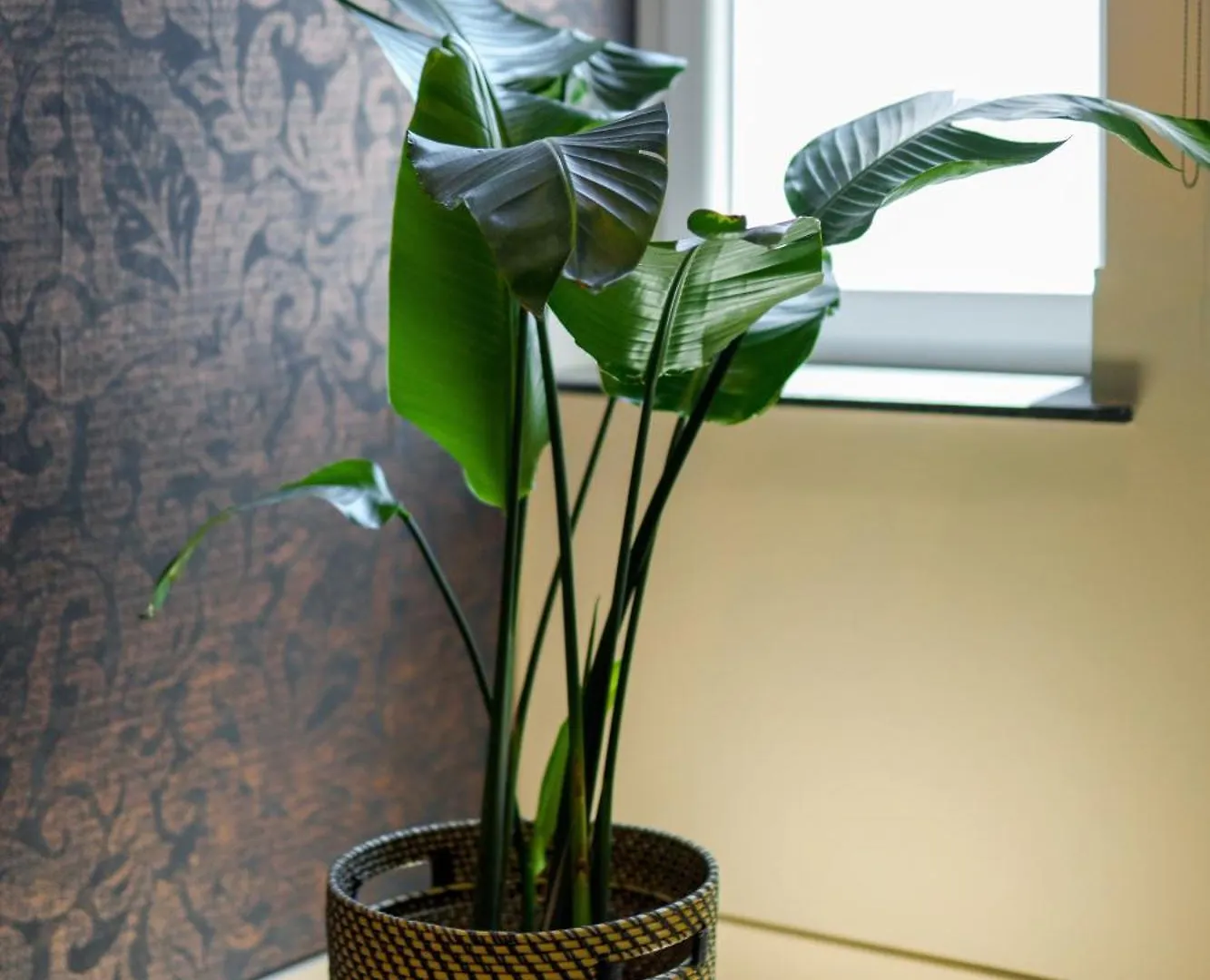 It'S Room Неаполь 2*,